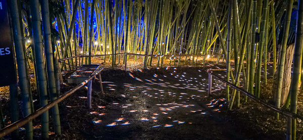 San Diego Botanic Garden - Lightscape 2025